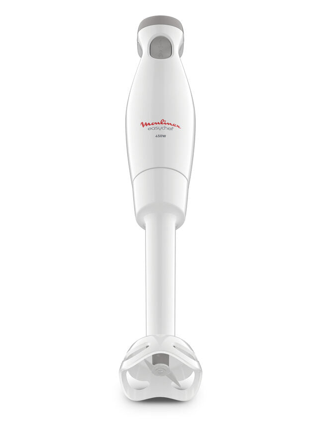 Moulinex FRULLATORE A IMMERSIONE EASYCHEF