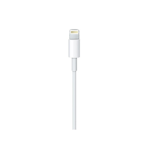Apple Cavo da Lightning a USB-C (2 m)