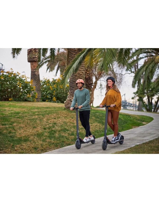 Ninebot by Segway Ninebot KickScooter E22E Powered by Segway