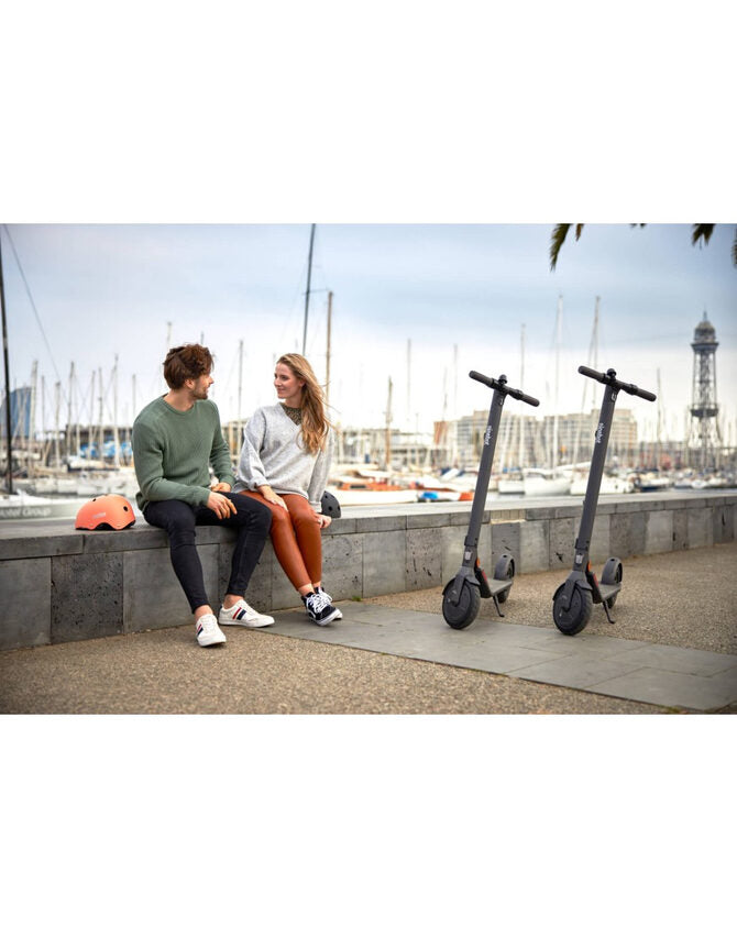 Ninebot by Segway Ninebot KickScooter E22E Powered by Segway
