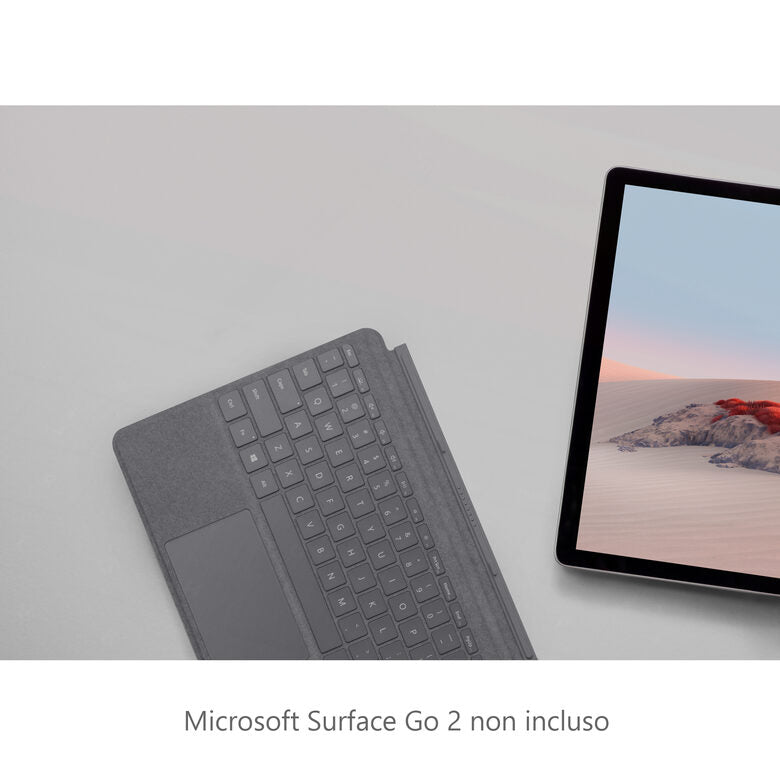 Microsoft Surface Go Type Cover - QWERTY - Platino (Alcantara)