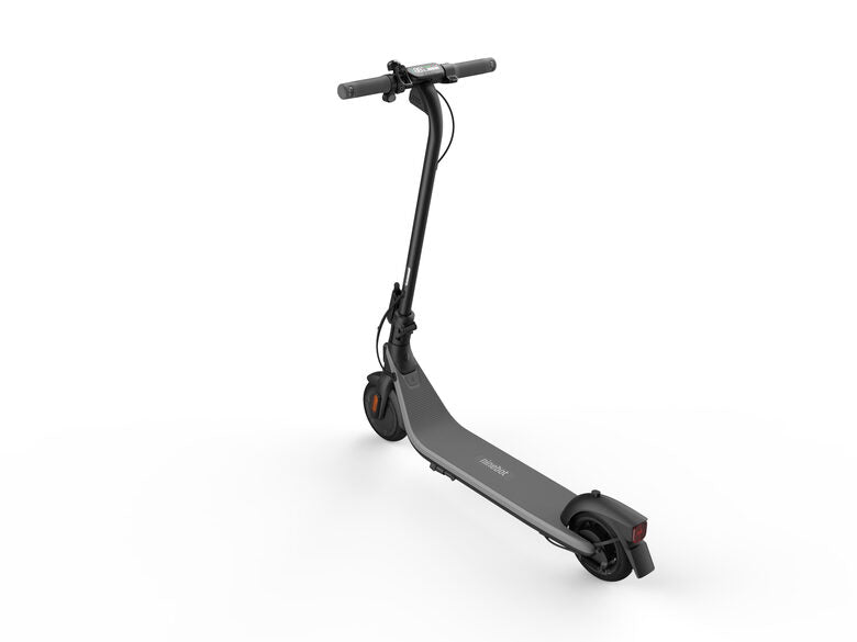 Ninebot by Segway KickScooter E2 D 20 km/h Grigio
