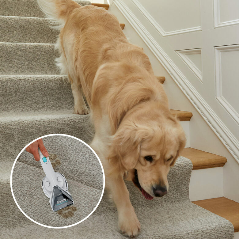 Sharkclean Smacchiatore portatile Shark StainStriker PX200EUT