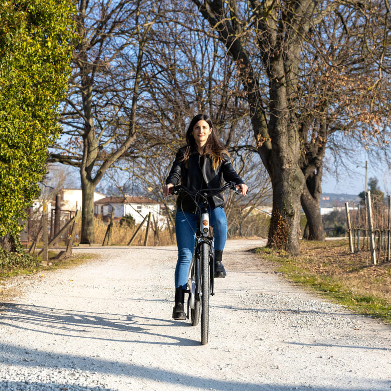 EMG E-bike Vintage con telaio in alluminio 19", ruote 28", motore centrale 250W Ananda, batteria 13AH e cambio Shimano
