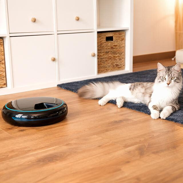 Cecotec Pumba 1600 Purrfect Meal Distributore automatico di cibo per animali con 4 sezioni indipendenti