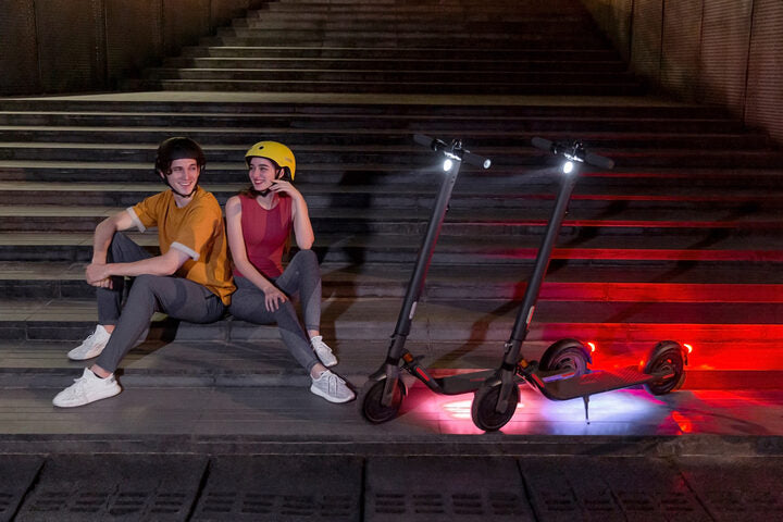 Ninebot by Segway KickScooter E25E