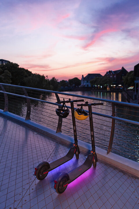 Ninebot by Segway KickScooter E25E