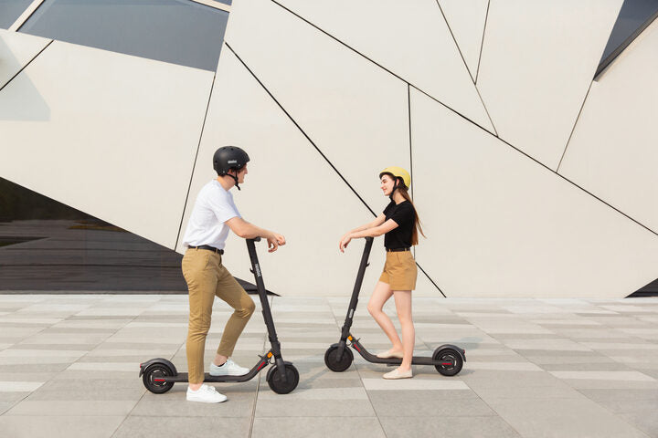 Ninebot by Segway KickScooter E25E