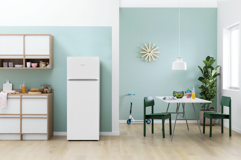 Indesit I55TM4110W1 frigorifero con congelatore Libera installazione 213 L F Bianco