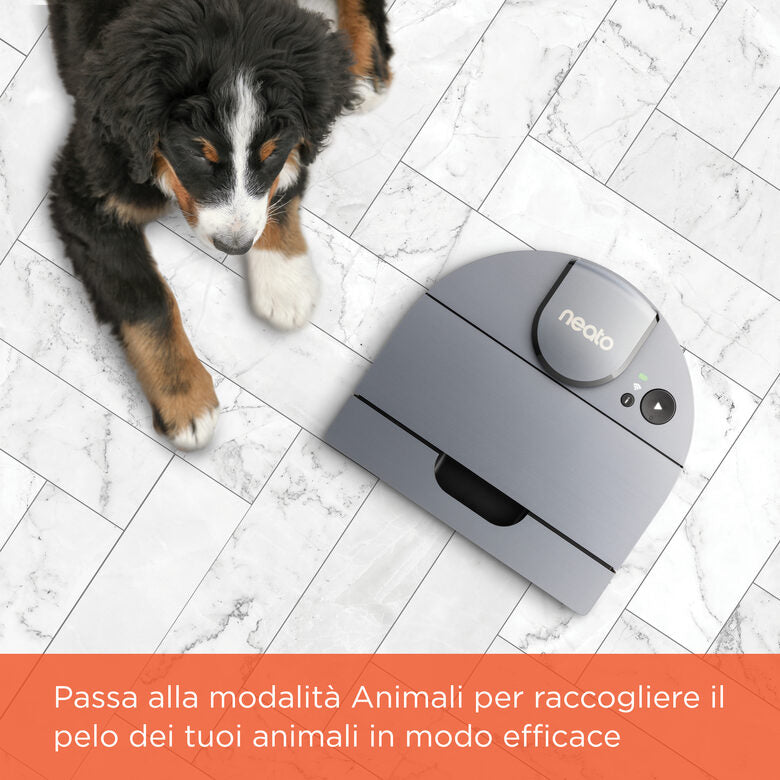 Neato Robotics D10 Aspirapolvere Robot capacità del contenitore raccogli polvere 0,7 L Argento