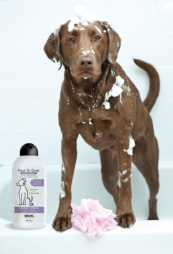 Wahl 3999-7010 shampoo per animali 750 ml Cane 2-in-1 Shampoo&Balsamo