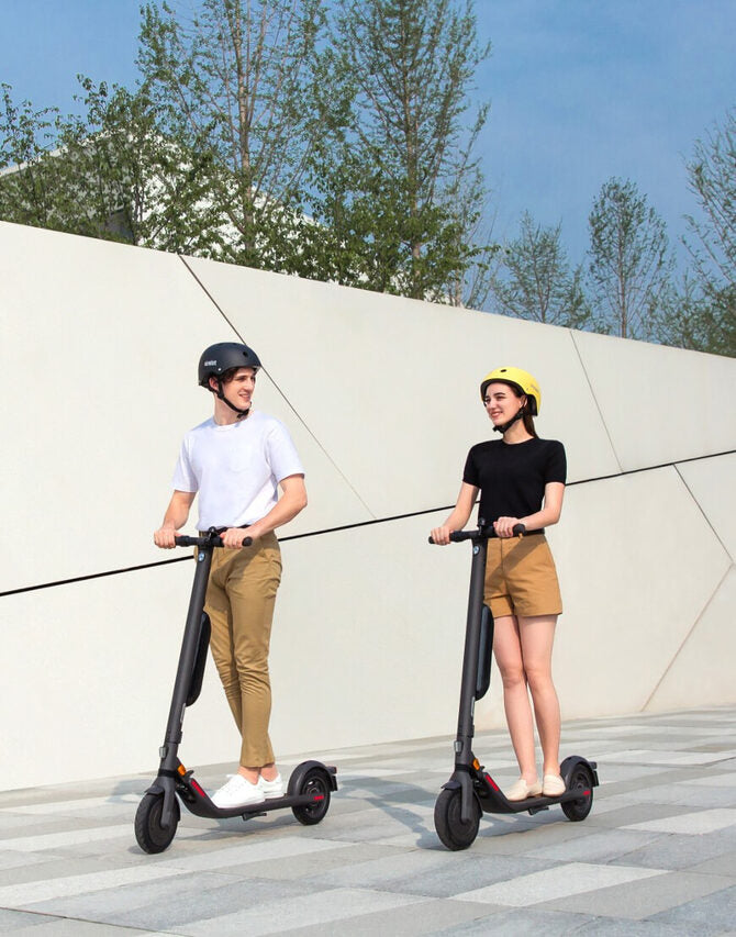 Ninebot by Segway Ninebot KickScooter E45E