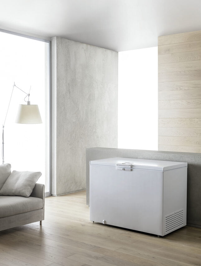 Whirlpool WHE25332 2 Congelatore a Pozzetto Libera installazione 252 L E
