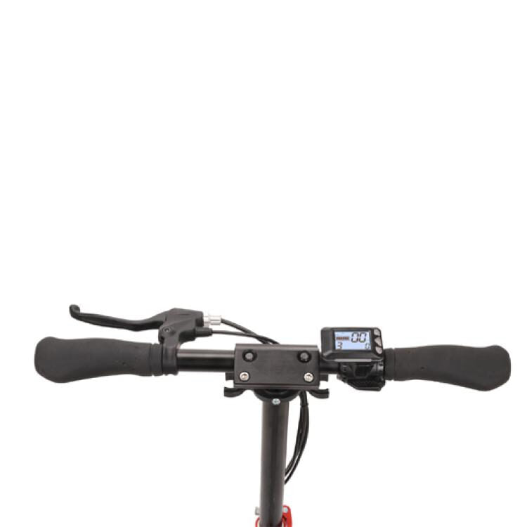 New Majestic Jaki Nero