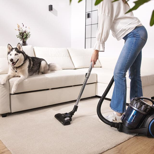 Cecotec 08592 aspirapolvere a traino 4 L Aspiratore a cilindro Secco 800 W Sacchetto per la polvere
