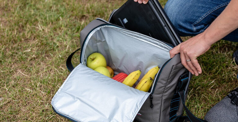 Campingaz 2000036892 borsa frigo 17 L Grigio