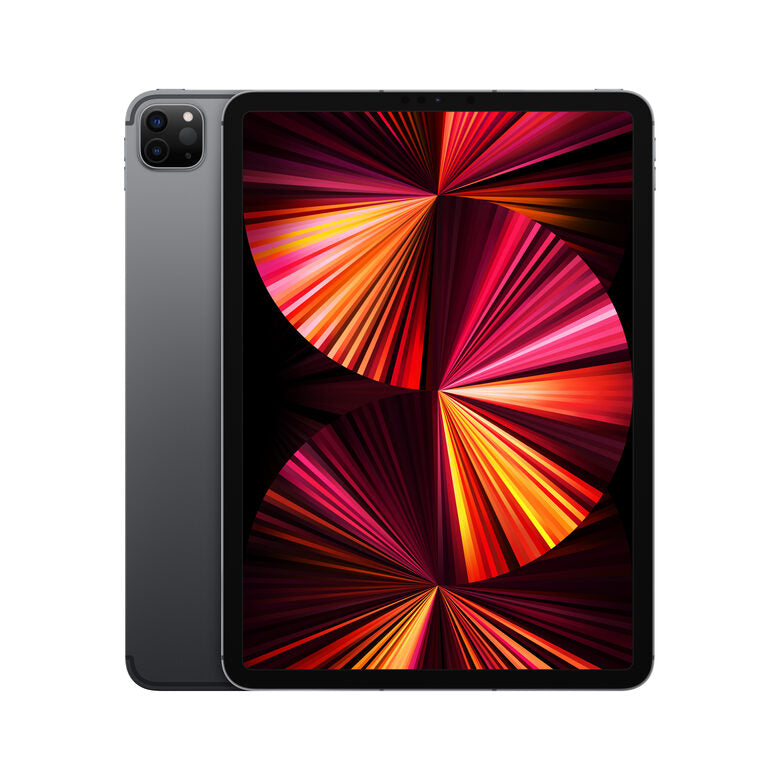 Apple iPad Pro 11" con Chip M1 (terza gen.) Wi-Fi + Cellular 1TB - Grigio siderale