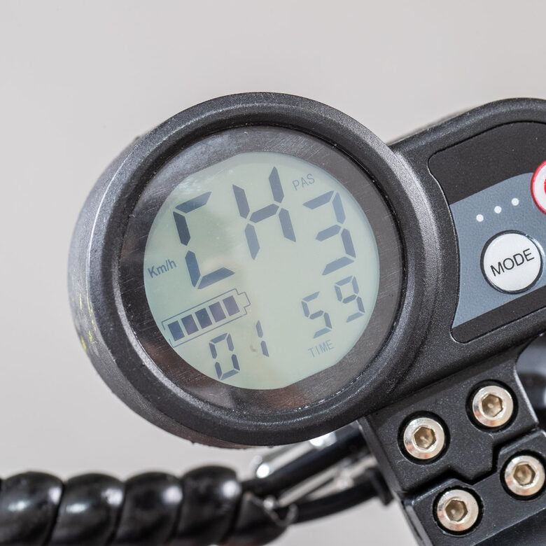 EMG Velociptor Climb ES110OR 25 km/h Verde