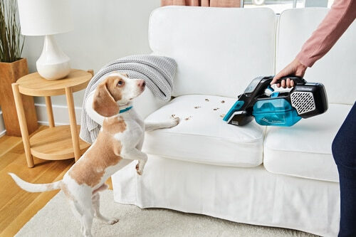 Black & Decker spillbuster Nero, Blu Senza sacchetto