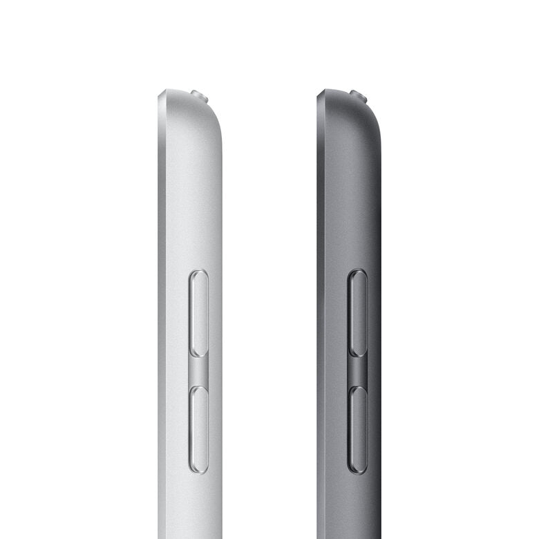 Apple iPad , 10.2" LED, 2160 x 1620, A13 Bionic, 256GB, 802.11ac Wi-Fi 5, LTE, Bluetooth 4.2, Touch ID, 8MP + 12MP, iPadOS