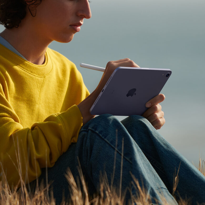 Apple iPad mini Wi-Fi 256GB - Galassia