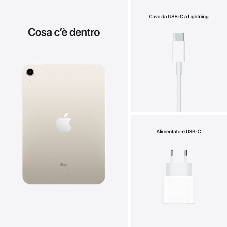 Apple iPad mini Wi-Fi 256GB - Galassia
