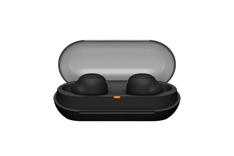 Sony WF-C500 - Auricolari True Wireless, Fino a 20 ore di durata della batteria con custodia di ricarica, Compatibile con l'Assistente Vocale, Microfono integrato (Nero)