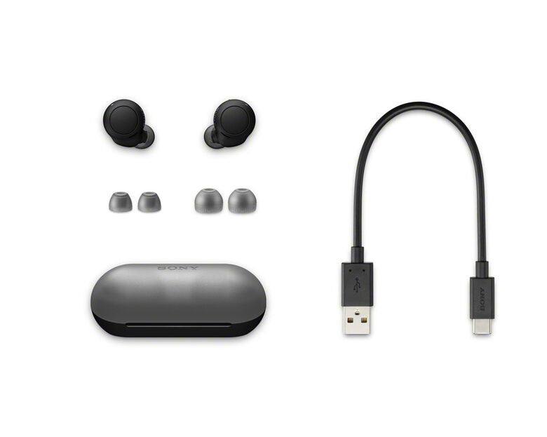 Sony WF-C500 - Auricolari True Wireless, Fino a 20 ore di durata della batteria con custodia di ricarica, Compatibile con l'Assistente Vocale, Microfono integrato (Nero)