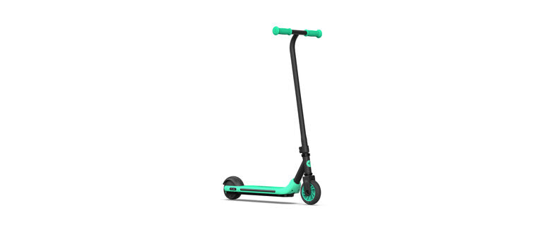 Ninebot by Segway Zing A6 12 km/h Nero, Verde