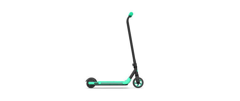 Ninebot by Segway Zing A6 12 km/h Nero, Verde