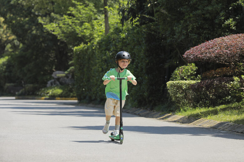 Ninebot by Segway Zing A6 12 km/h Nero, Verde
