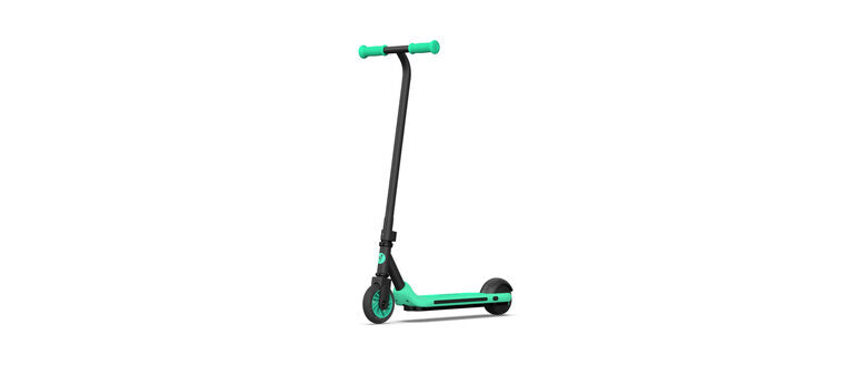 Ninebot by Segway Zing A6 12 km/h Nero, Verde