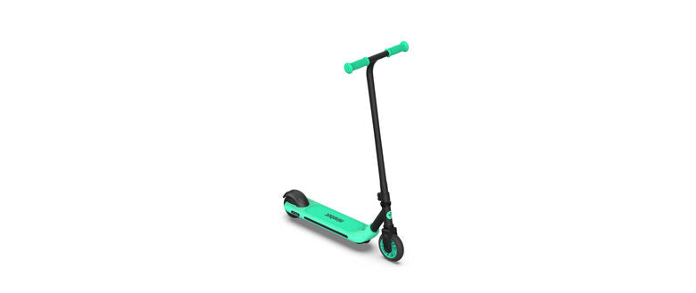 Ninebot by Segway Zing A6 12 km/h Nero, Verde