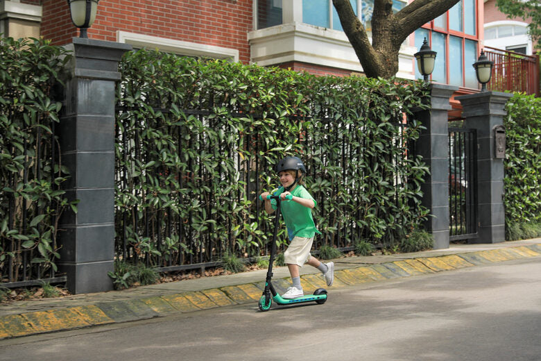 Ninebot by Segway Zing A6 12 km/h Nero, Verde