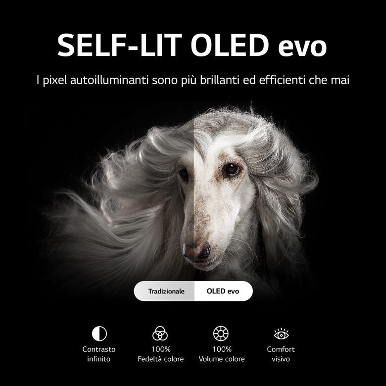LG OLED evo 4K 42'' Serie C26 OLED42C26LB Smart TV