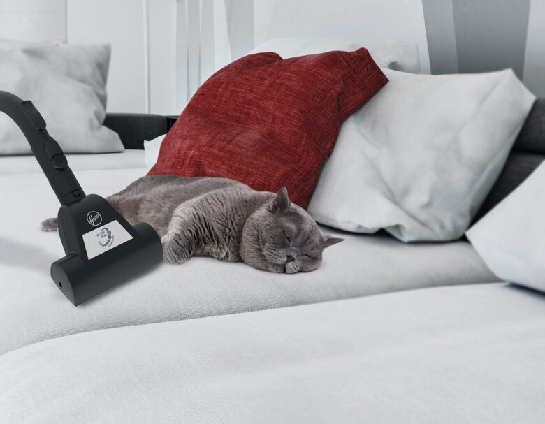 Hoover H-POWER 300 HP330ALG 011 2 L A cilindro Secco 850 W Senza sacchetto