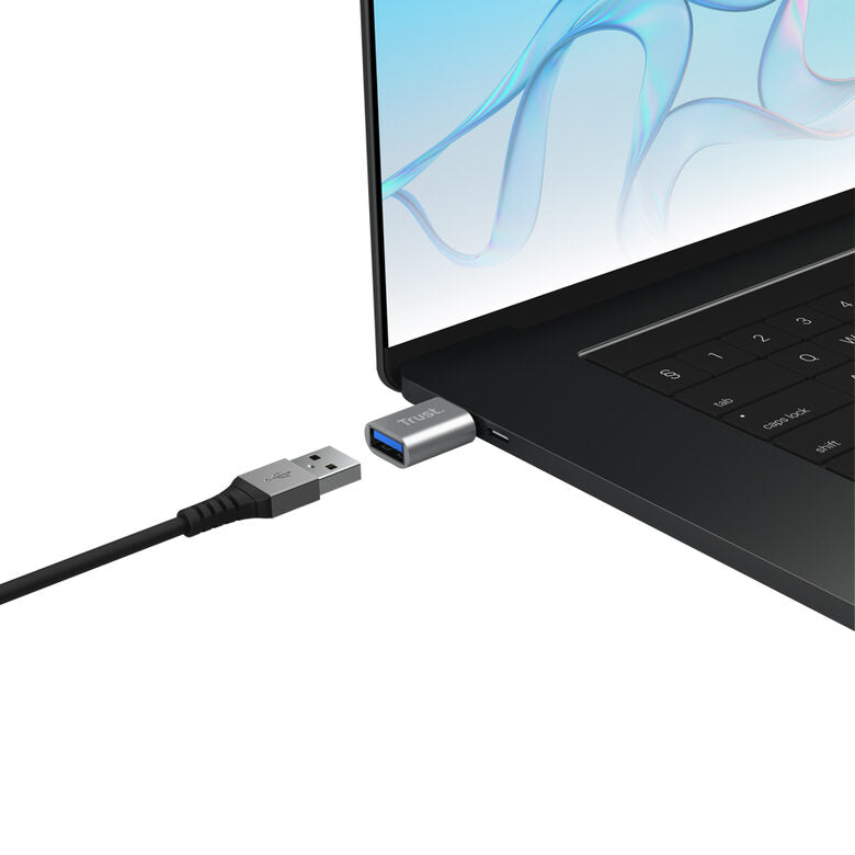 Trust 26221 adattatore grafico USB Argento
