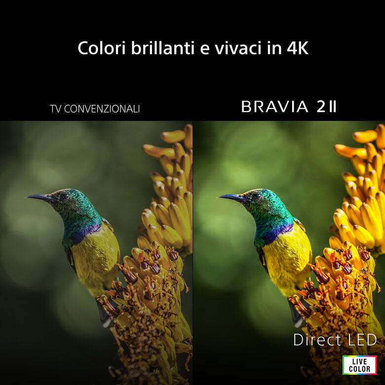 Sony TV LCD 43" BRAVIA 2 II S25M2