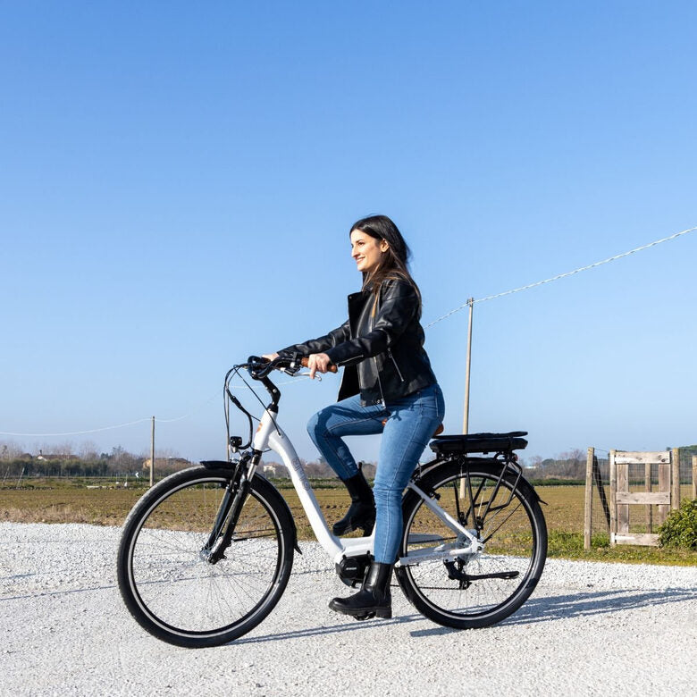 EMG E-bike Vintage con telaio in alluminio 19", ruote 28", motore centrale 250W Ananda, batteria 13AH e cambio Shimano