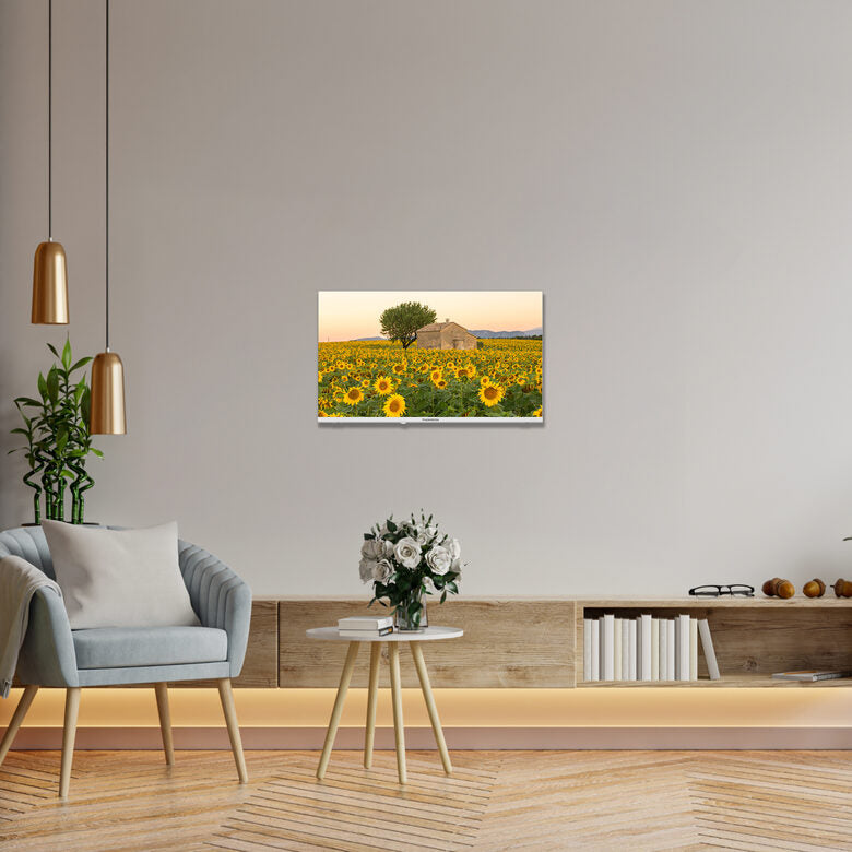Thomson 32HA2S13W Televisione Smart TV 32 Pollici Led Frameless T2/c2s2 Android 11 Hd Wi-fi Bianco