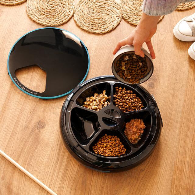 Cecotec Pumba 1600 Purrfect Meal Distributore automatico di cibo per animali con 4 sezioni indipendenti