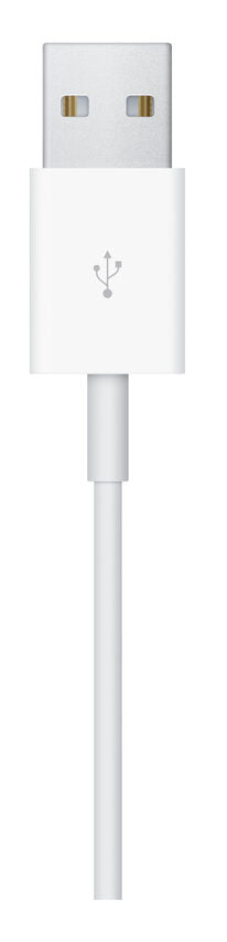 Apple Cavo magnetico per la ricarica di Watch (1 m)