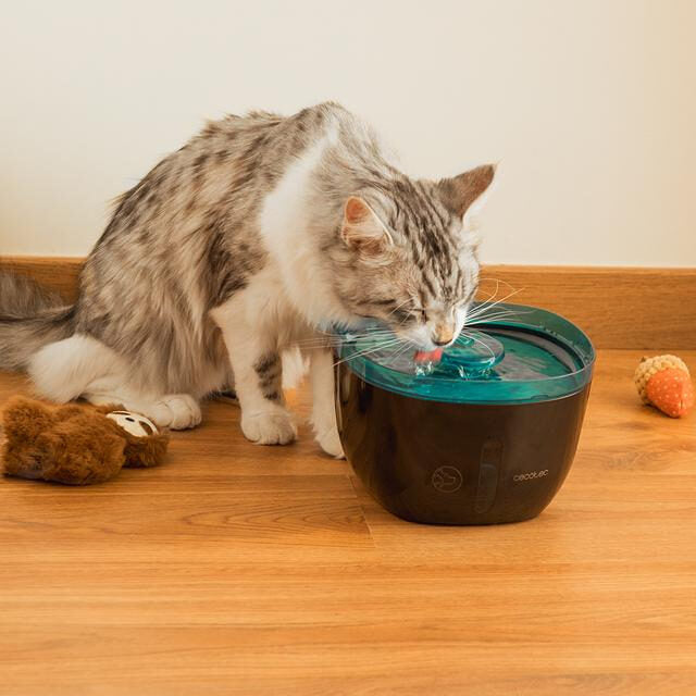 Cecotec Pumba 2200 Refresh Fontana automatica per animali domestici con capacità di 2 litri