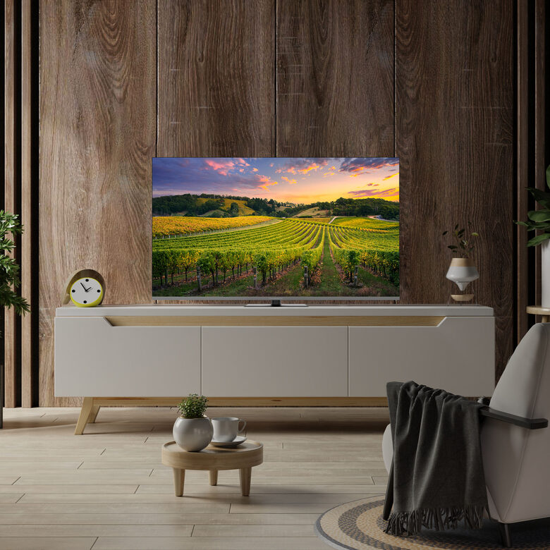 Thomson 50QG5C14 TV 127 cm (50") 4K Ultra HD Smart TV Wi-Fi Grigio