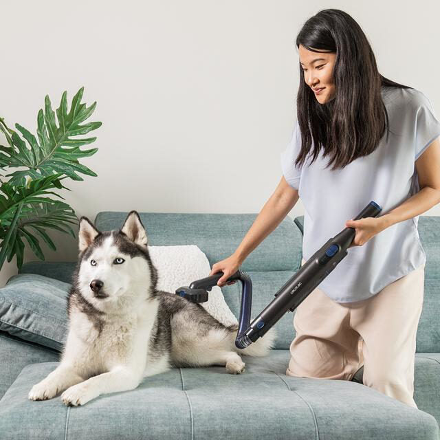 Cecotec Conga Rockstar Micro+ Animal aspirapolvere senza filo Grigio Senza sacchetto