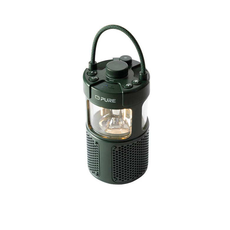 Pure 252584 altoparlante portatile e per feste Verde 20 W