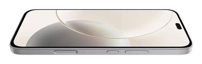 Honor 400 Lite 17 cm (6.7") Doppia SIM MagicOS 9.0 5G Micro-USB 8 GB 256 GB 5230 mAh Grigio