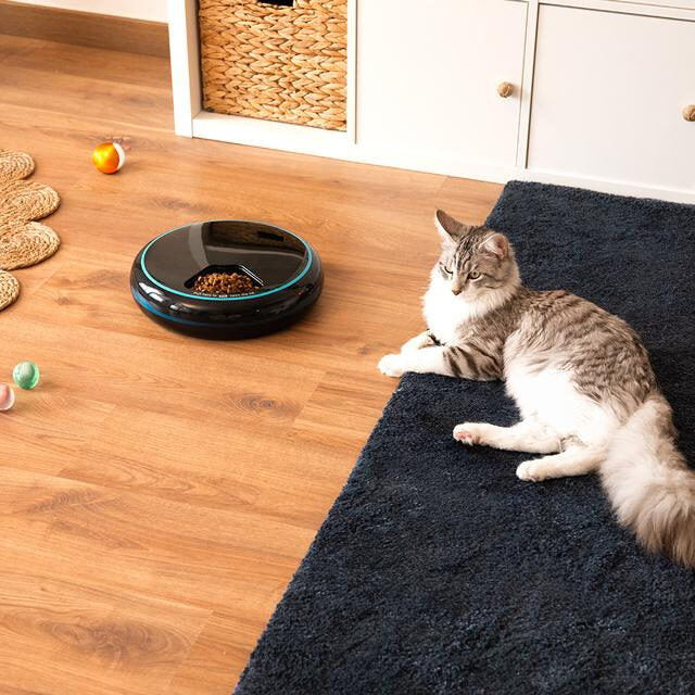 Cecotec Pumba 1600 Purrfect Meal Distributore automatico di cibo per animali con 4 sezioni indipendenti