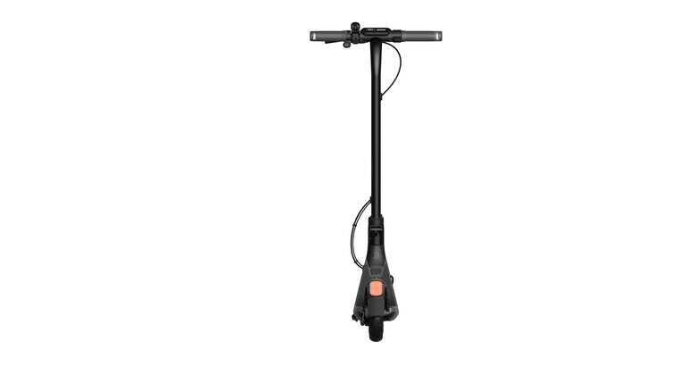 Ninebot by Segway KickScooter E2 D 20 km/h Grigio