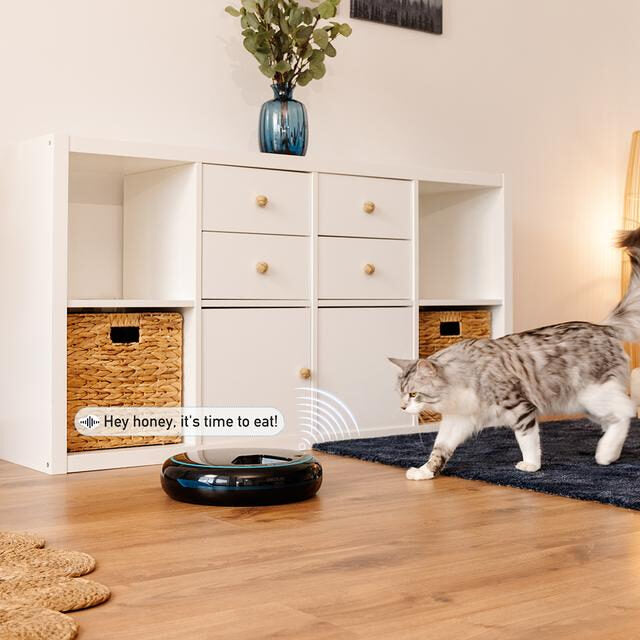 Cecotec Pumba 1600 Purrfect Meal Distributore automatico di cibo per animali con 4 sezioni indipendenti
